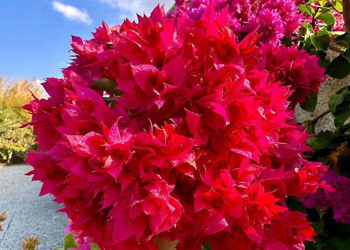 Saraceno Lipari (Isola Lipari)